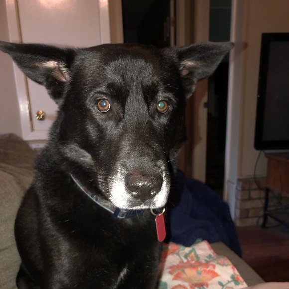 Meet your Posher, Stephanie - Picture 2 of 2